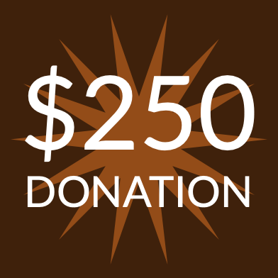 $250 Donation